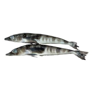 Ледяная рыба 250/+ Аргентина