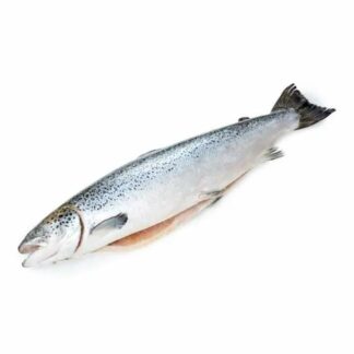 Семга с/м потр. с/г 5-7 кг./шт. (порежем кусками/стейками)