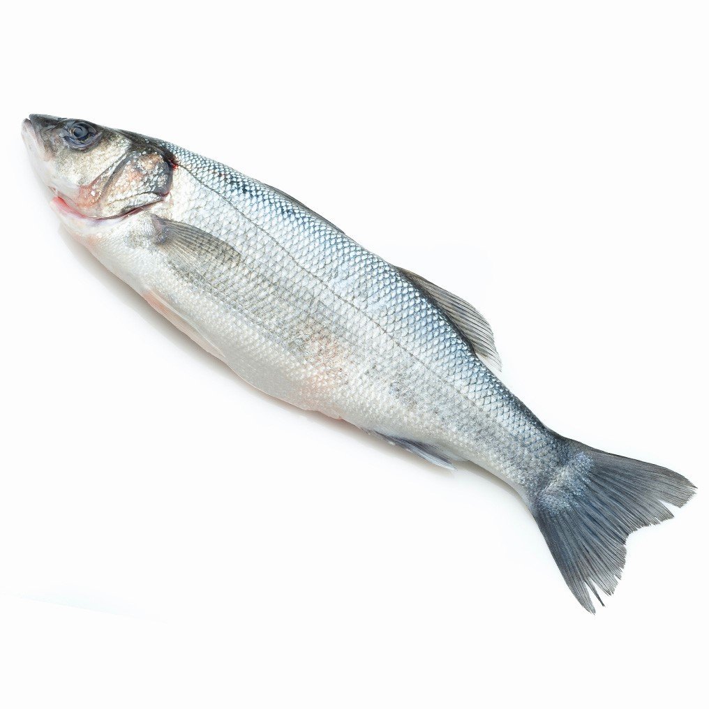 Сибас охл. 400-600 гр./шт.