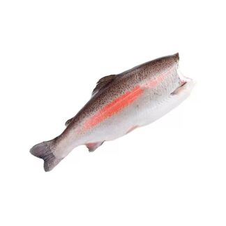 Форель, с/м, б/г потр., 4/5