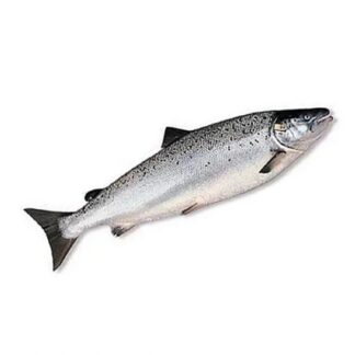 Лосось с/м потр. с/г 5-7 кг./шт. (порежем кусками/стейками)