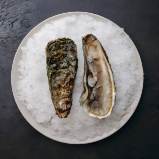 Устрица Императорская