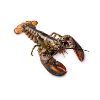 Морепродукты