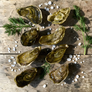 Устрица Крымская