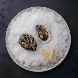 Устрица Хасанская