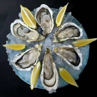 Устрица Сайон